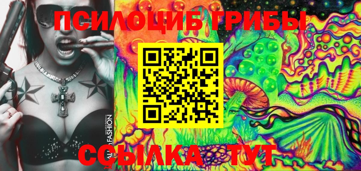 Псилоцибиновые грибы Cubensis  Псилоцибиновые грибы ЛСД  где купить наркотик  Гатчина  Вход с VPN 