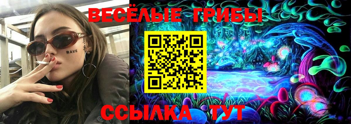 Галлюциногенные грибы мицелий Гатчина